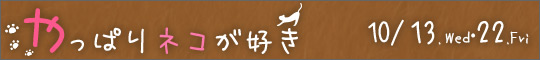 やっぱりネコが好き